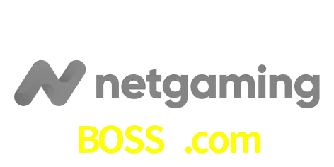 NetGaming